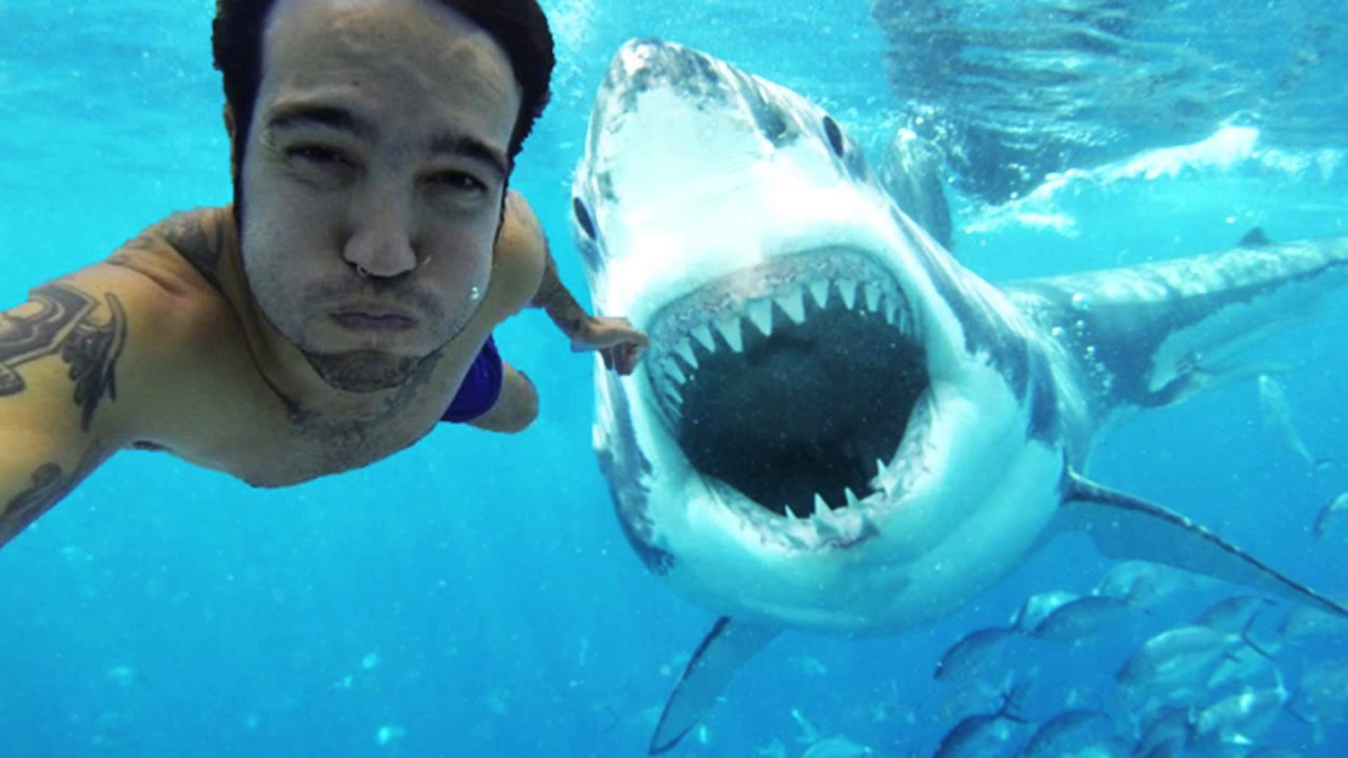 10 Most Dangerous Selfies People Have Ever Taken