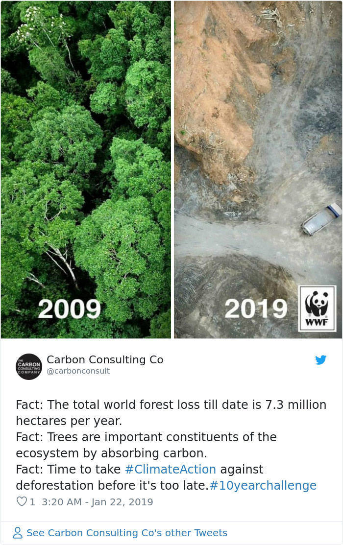 10-Year Challenge Isn’t Funny When It Comes To Nature (27 pics)