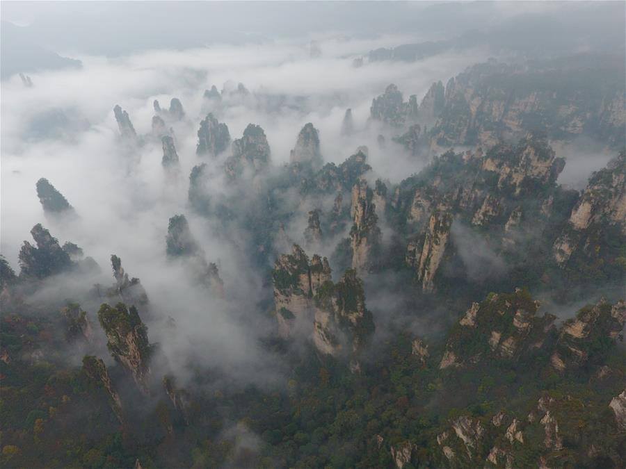 Spectacular aerial view of Hunan Zhangjiajie National Park