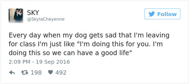 Hilarious And Cute Dog Tweets  (49 pics)