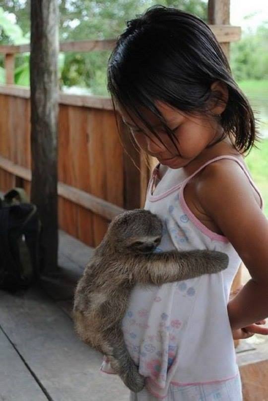 Most Beautiful and Adorable Photos - ( 16 Pics)