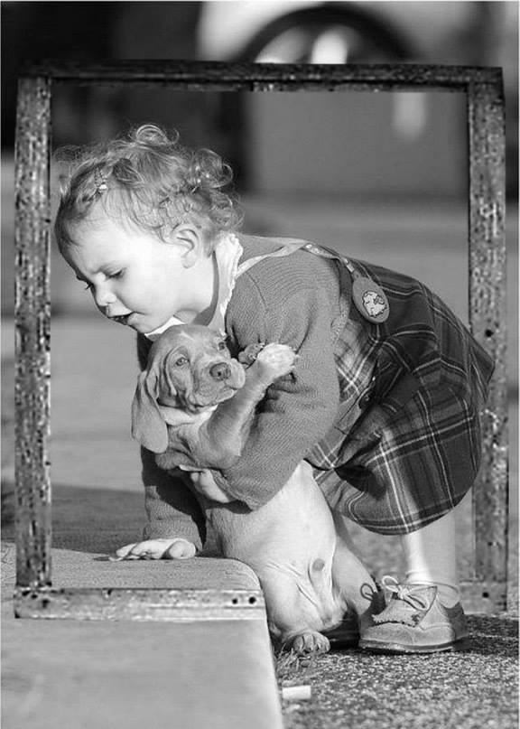 Most Beautiful and Adorable Photos - ( 16 Pics)