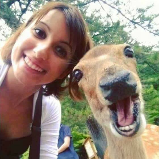 30+ Animals That Mastered The Art Of Selfie