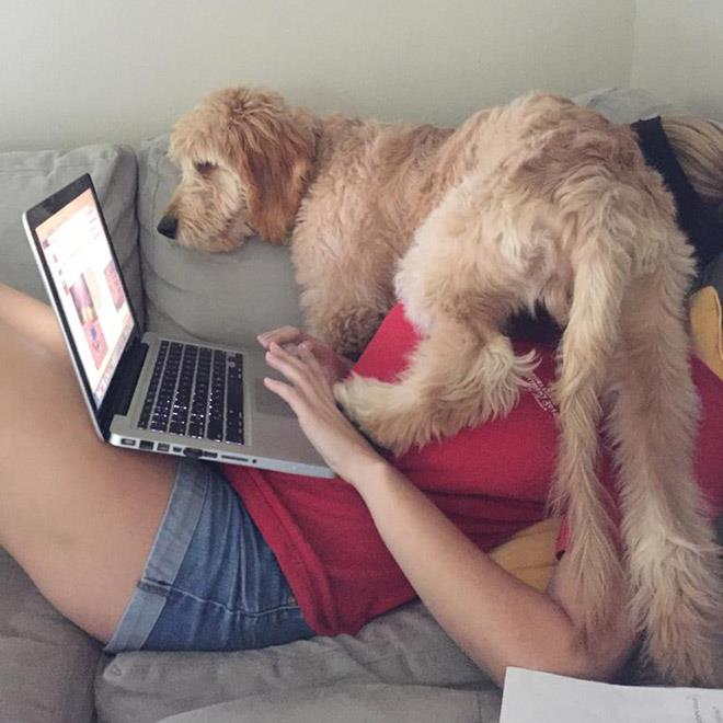 Pets Don’t Give a Crap About Your Private Space (29 Pics)