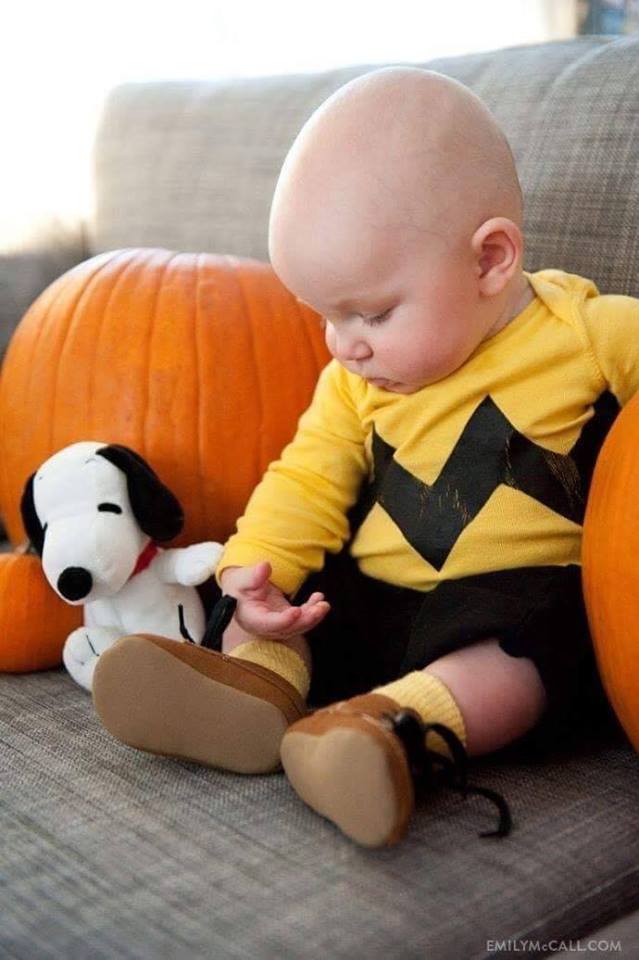 Costume ideas for your baby's first Halloween (29 Pics)