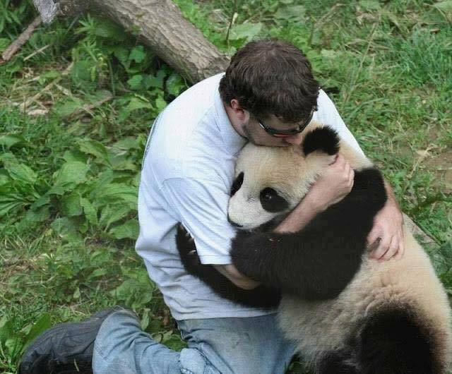 12 Most Incredible Friendships Between Animals And Human