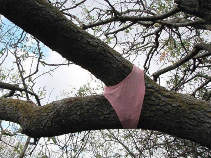 These 12 Photos Will Make You Think The World Is Weird!