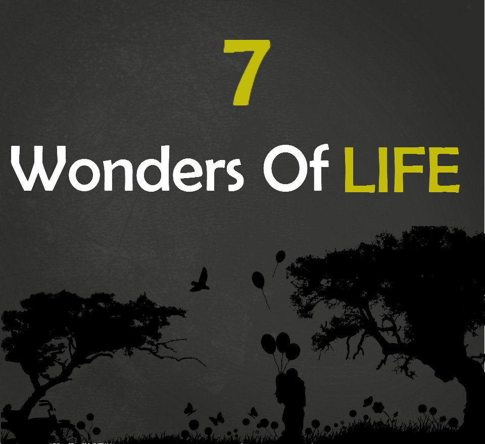 7 Wonders Of Life