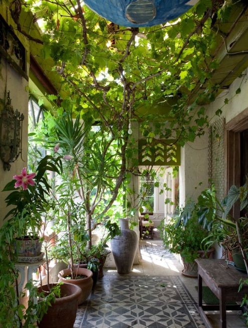 100+ Best Indoor Garden Design Ideas