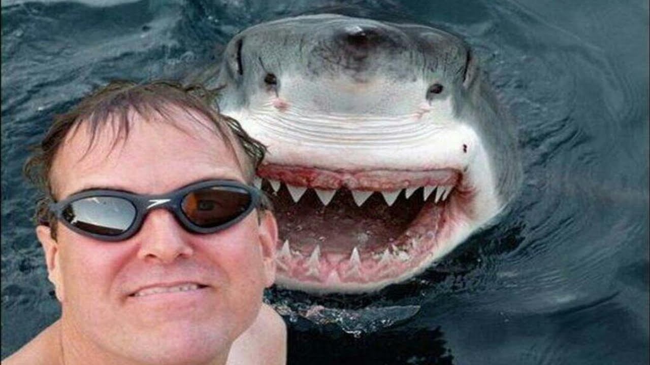 10 Most Dangerous Selfies People Have Ever Taken