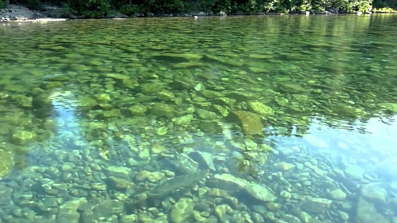 Umngot River, Meghalaya's Unexplored Crystal Clear River