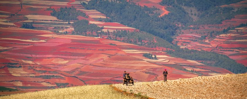 'Dongchuan District' - China's Largest and Most Beautiful Red Land