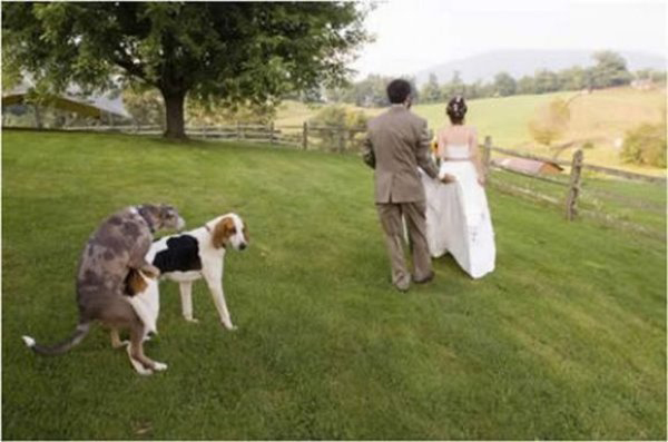 Epic Wedding Fail (20 Pics)