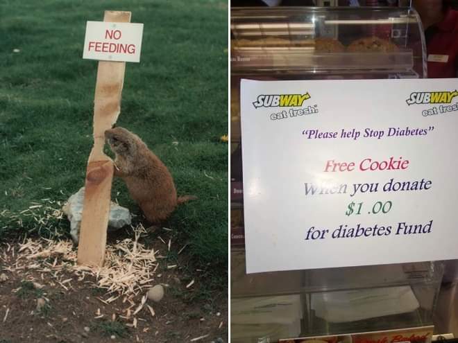 25 Hilarious Examples of Irony
