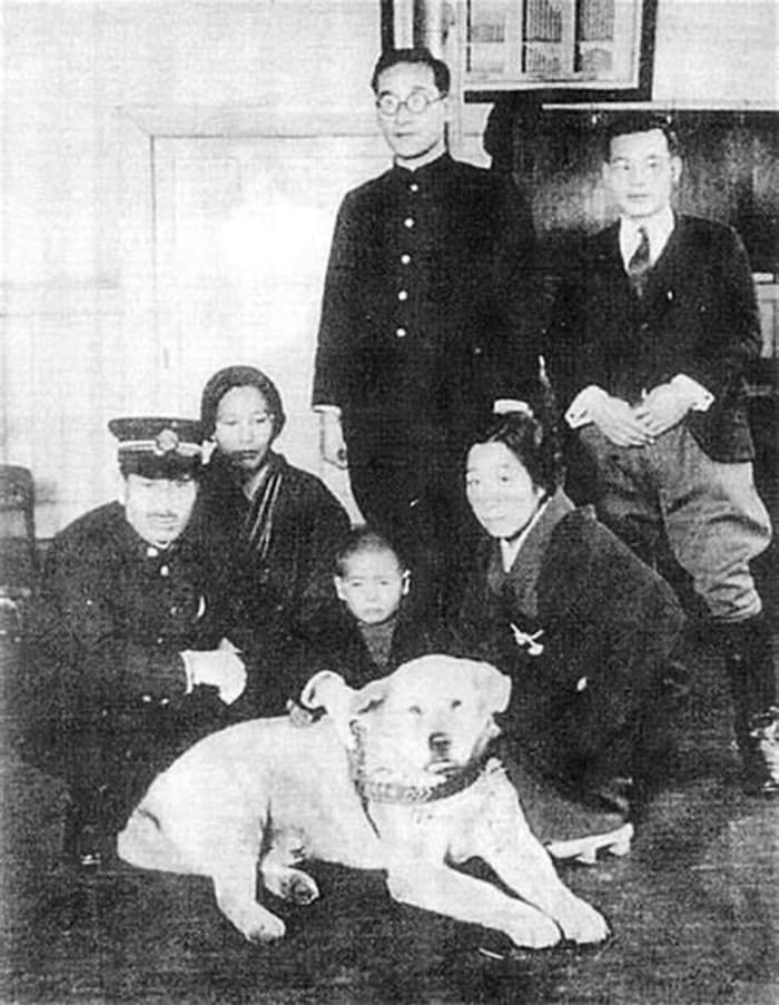 Rare photos of Hachiko - Patiently waiting for his owner