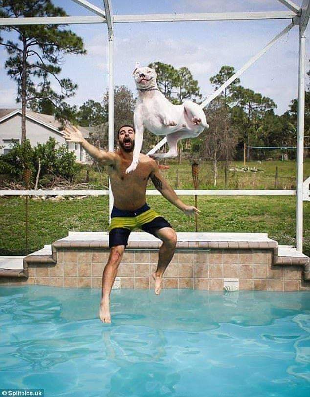 Perfectly Timed Photos (15 Pics)