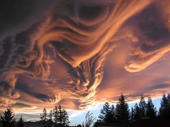 Strange Yet Amazing Phenomena Of Nature