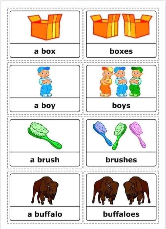 Some Useful Vocabulary - Singular and Plural Nouns | English Lessons