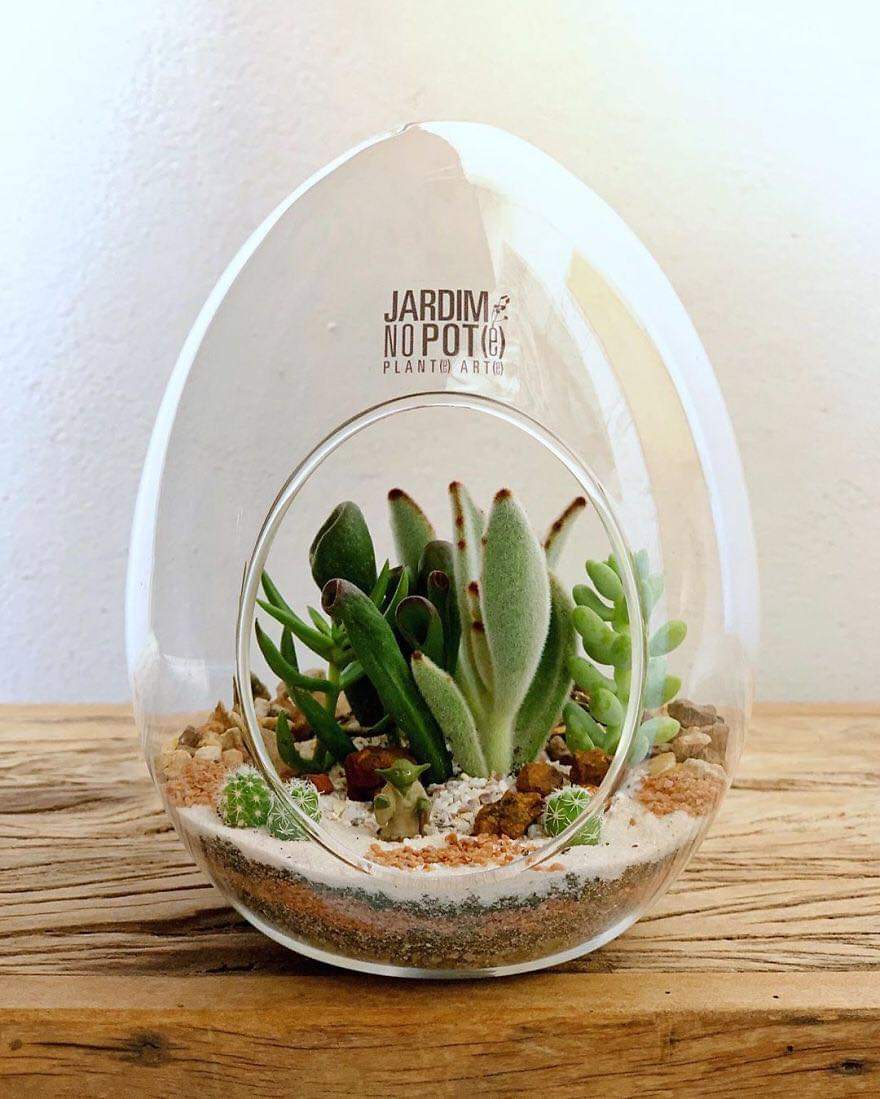Micro Self-Sustainable Ecosystems In Glass Containers By Lina Cirilo & Laura Gonçales (30 Pics)