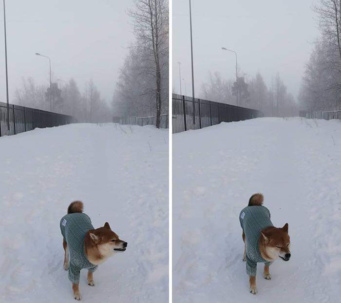 30 Pictures That Show How Unfathomably Cold It Is In Russia Right Now!