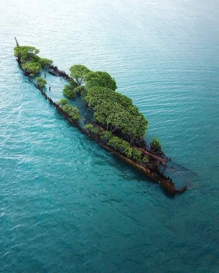 One day nature will take it back! (25 Pics)