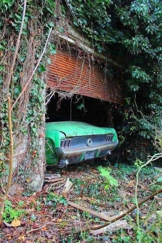One day nature will take it back! (25 Pics)
