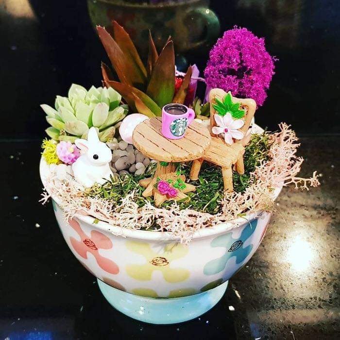 Teacup Gardens Are A Thing And Here Are Some Adorable Examples (23 Pics)