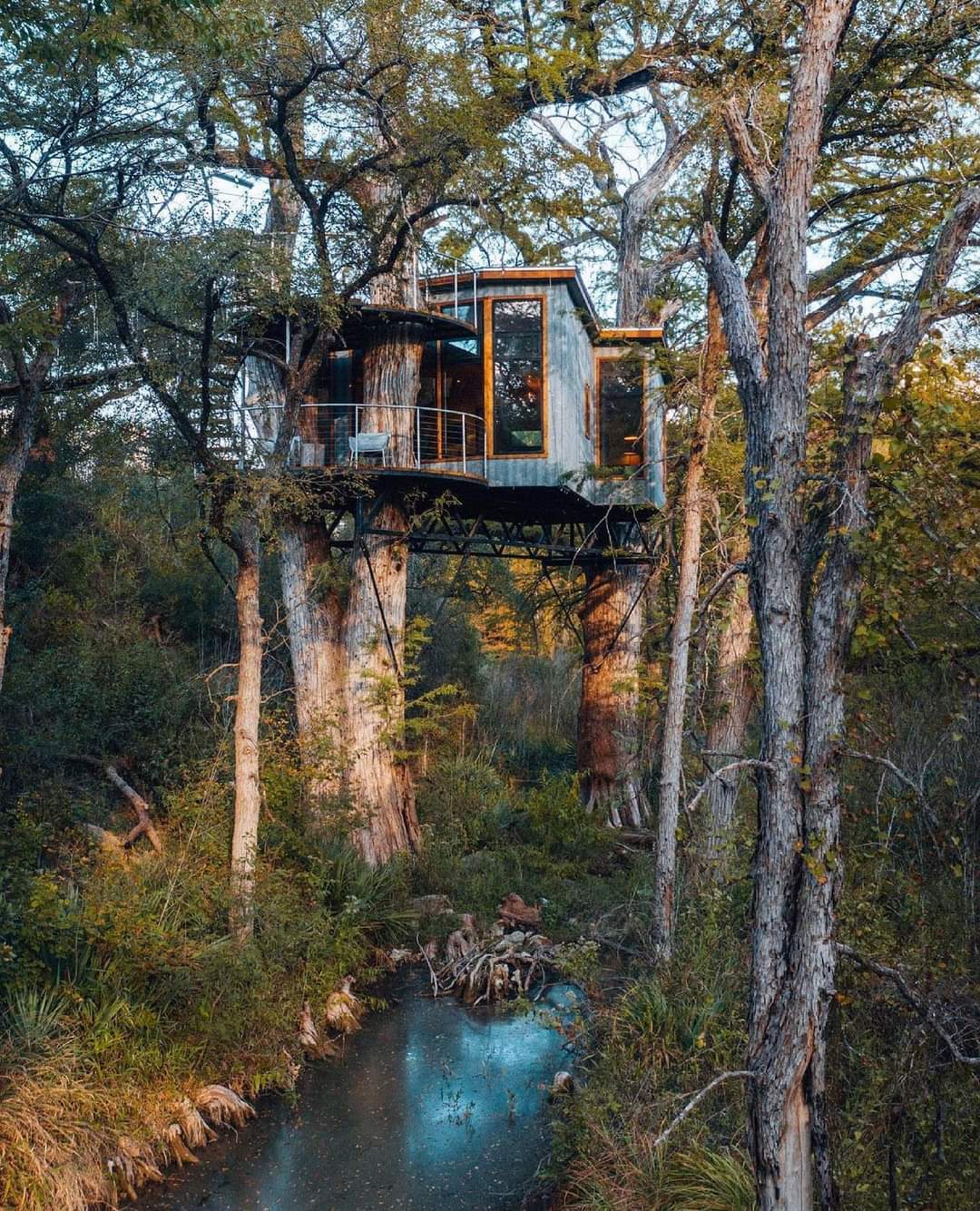 Amazing Tiny Tree House Concept (6 Pics)