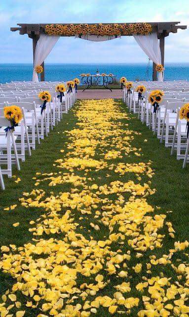 Sunflower Wedding (8 Pics)