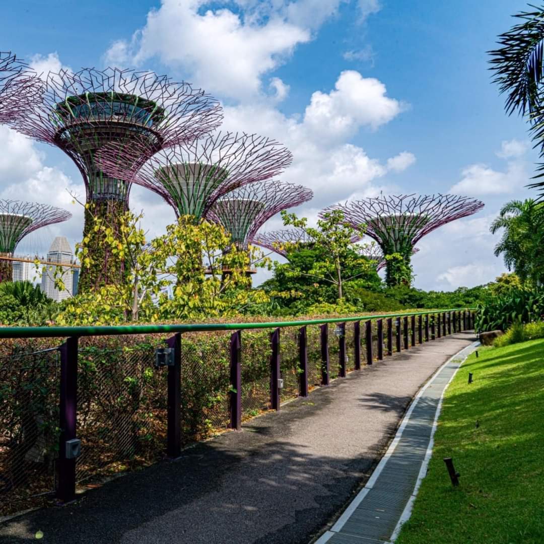 The Colorfulness Of SINGAPORE (16 Pics)