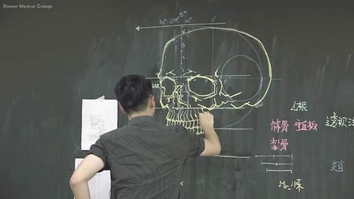 Anatomy in an artistic way By Chuan Bin Chung (9 Pics)