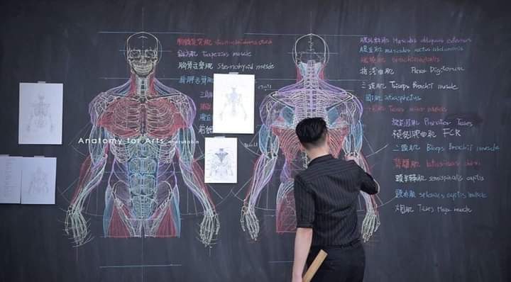 Anatomy in an artistic way By Chuan Bin Chung (9 Pics)