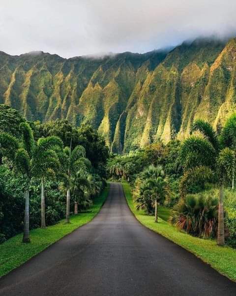 Most Beautiful and Amazing Hawaii
