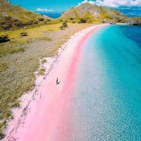 There are only seven beaches with sand of this color in the world. The one in Komodo is called Pantai Merah