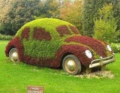Abandoned vehicles sculpted into garden beds (15 Pics)