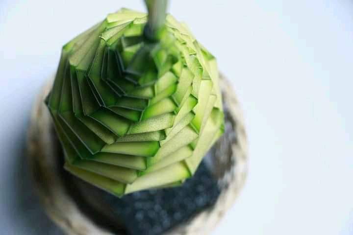Made of Coconut leaves (15 Pics)
