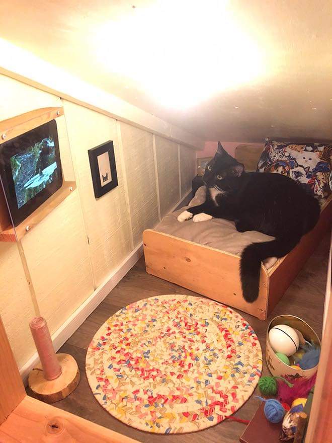 This Guy Built a Mini-Bedroom For His Cat By Bryan Davies (7 Pics)
