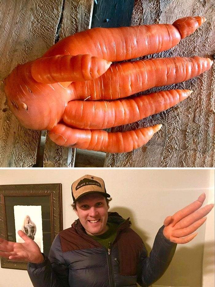 Fruits and Vegetables That Look like Something Else! (30 Pics)