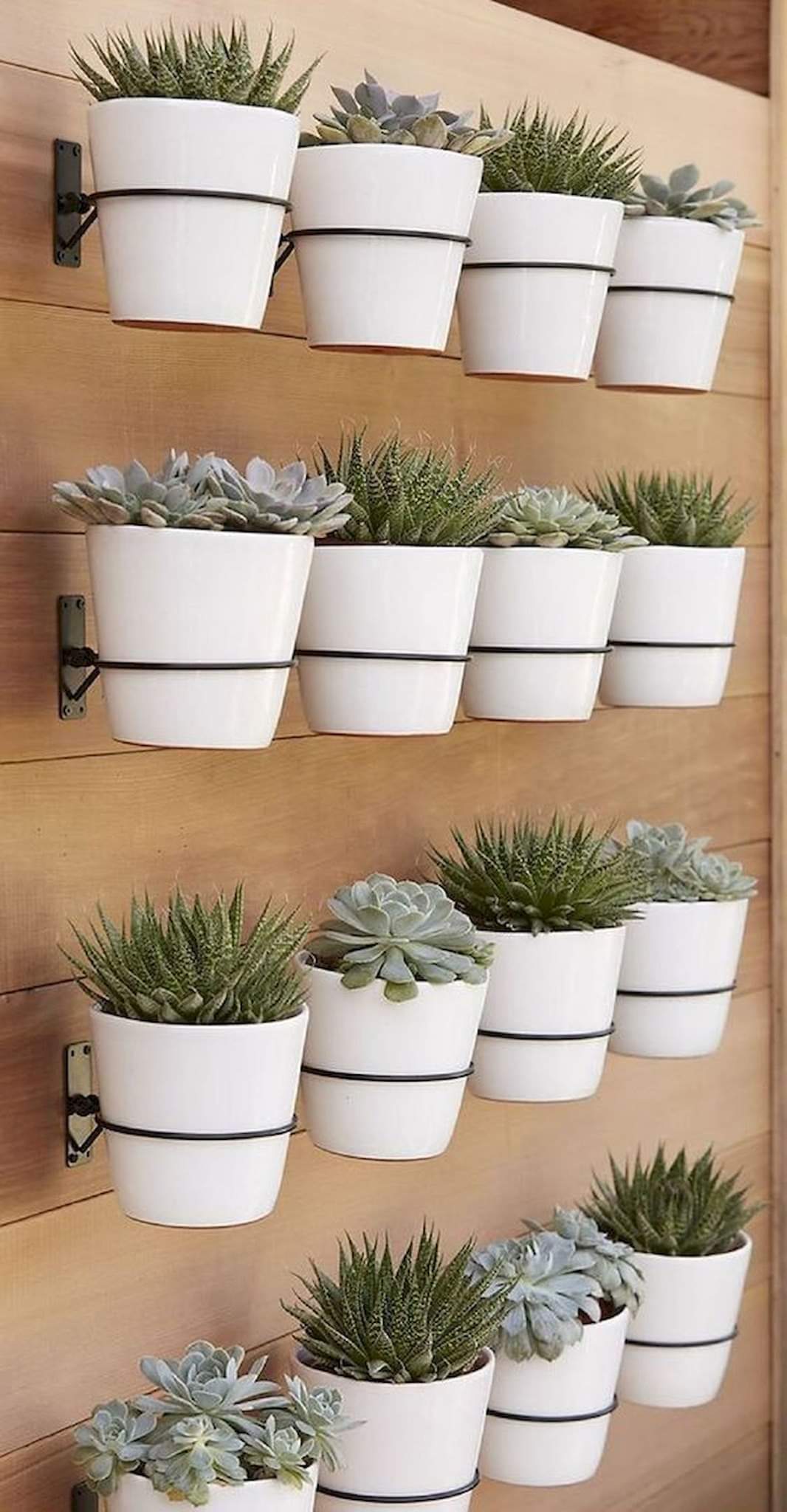 Ideas to Add Plants Inside Your Home (12 Pics)