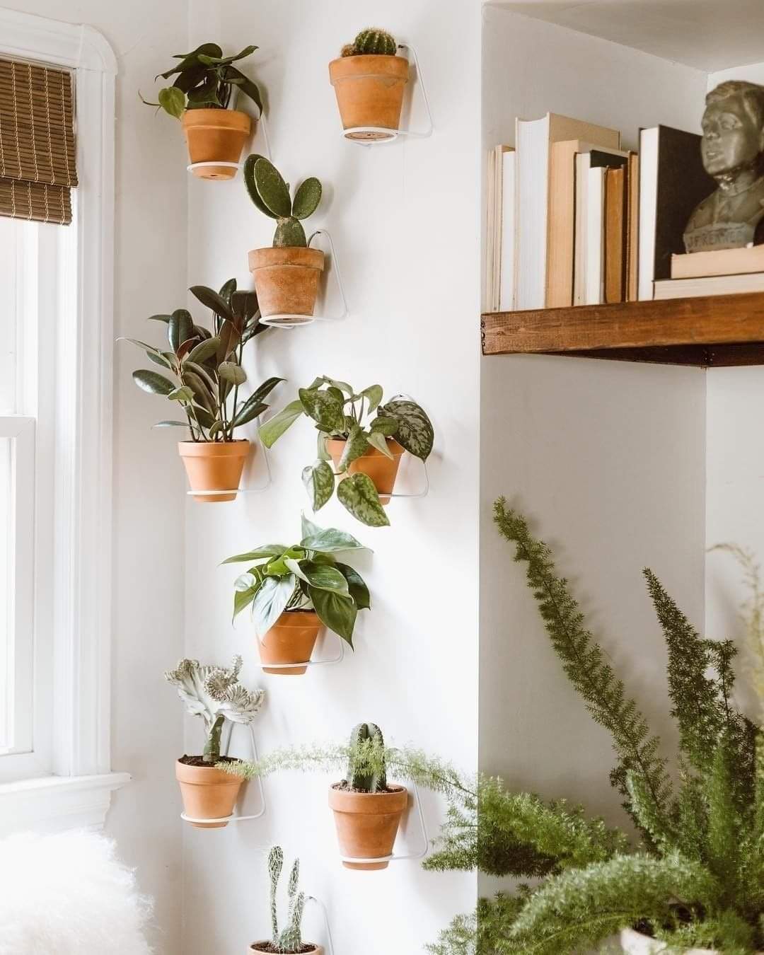 Ideas to Add Plants Inside Your Home (12 Pics)