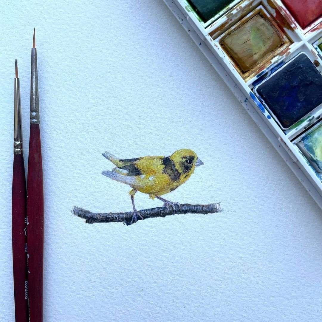 Beautiful birds by Artist Dina Brodsky