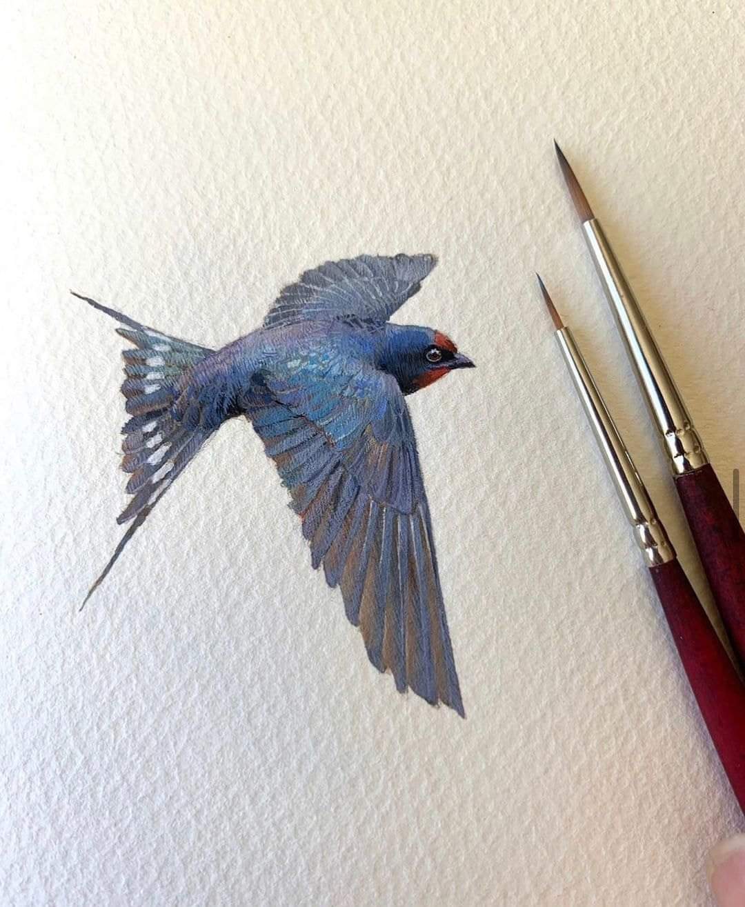 Beautiful birds by Artist Dina Brodsky