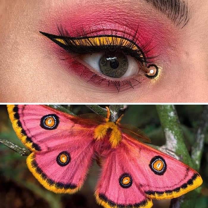 Duran Jay Shows The Beauty Of Insects With Her Matching Eye Makeup Looks