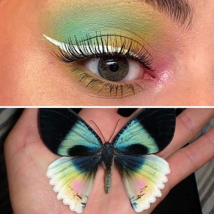 Duran Jay Shows The Beauty Of Insects With Her Matching Eye Makeup Looks