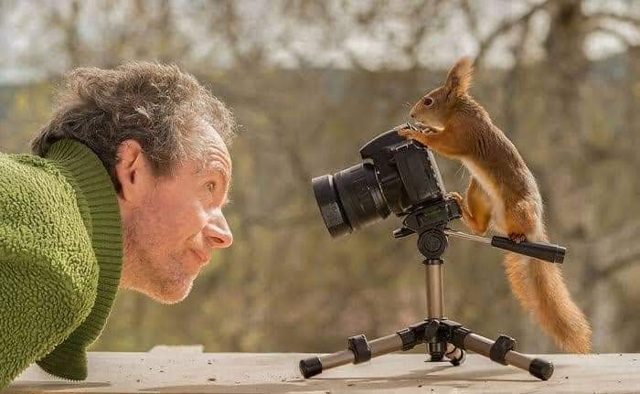 20 Funny Wildlife Moments