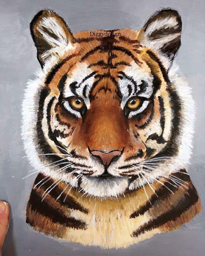 Hyper-Realistic Animal Paintings By 19-Years-Old Artist Caileigh L