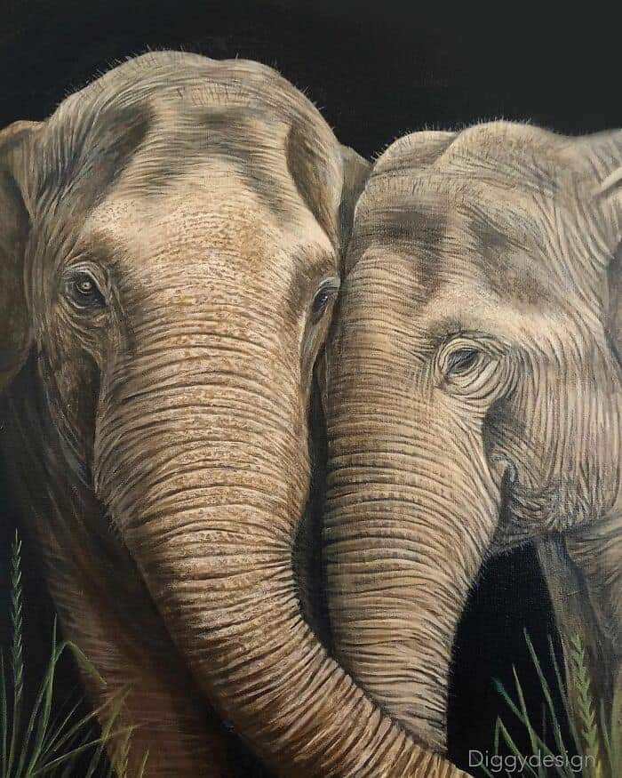 Hyper-Realistic Animal Paintings By 19-Years-Old Artist Caileigh L