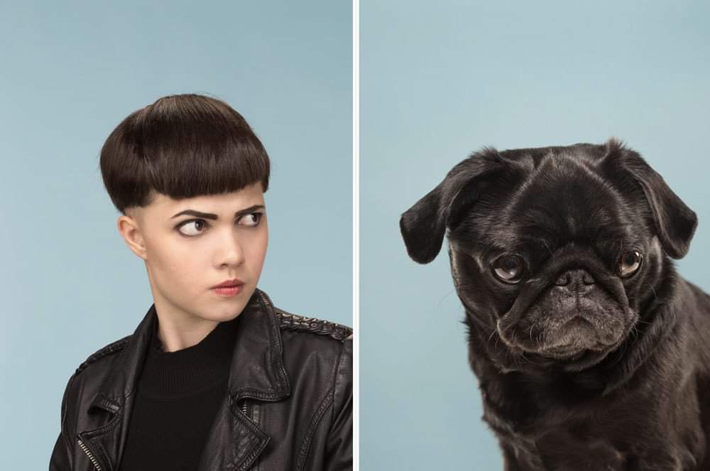 This Photographer Took Pictures of (Dogs- Cats) and Their Owners Side by Side, and They Look Amazingly Alike By Gerrard Gethings
