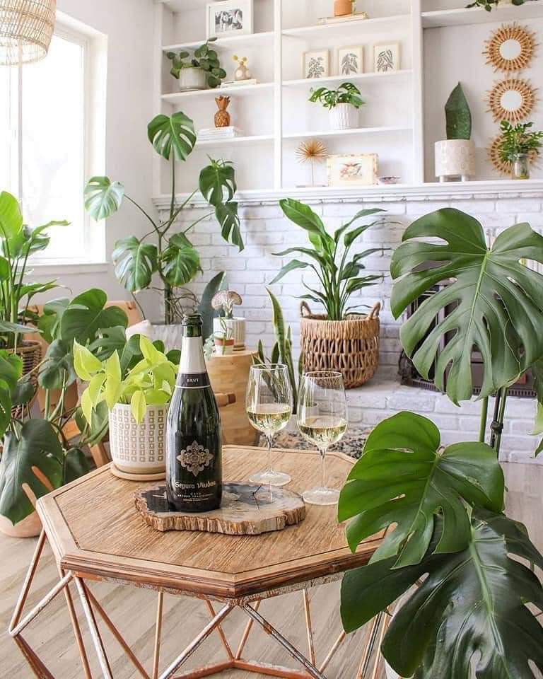 Dream Home Of Plant Lovers (10 Pics)