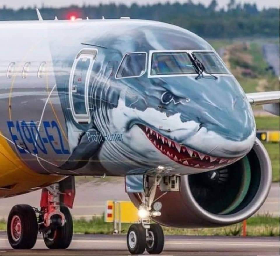 Stunning - Animal figures painted on airplanes